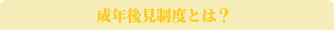 成年後見制度とは？