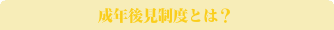 成年後見制度とは？